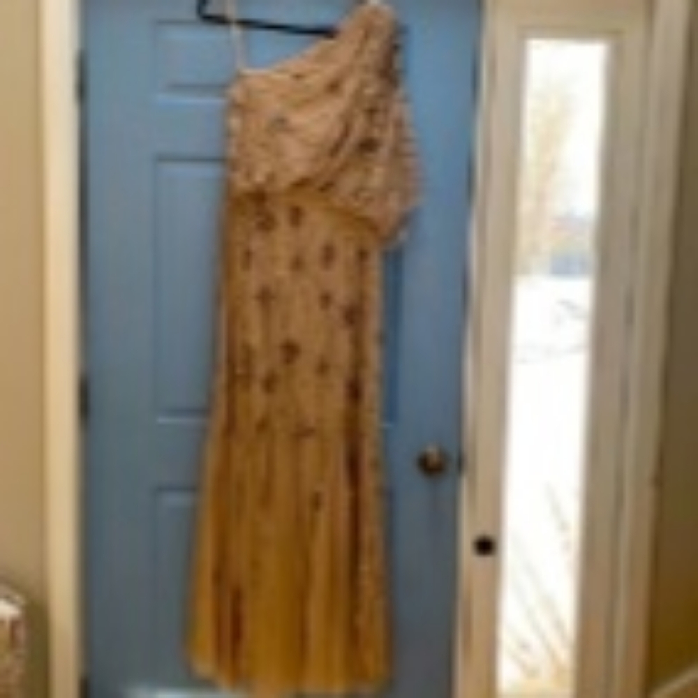Adrianna Papell Rose Gold Gown